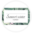 Summer Winter