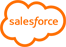 Salesforce icon